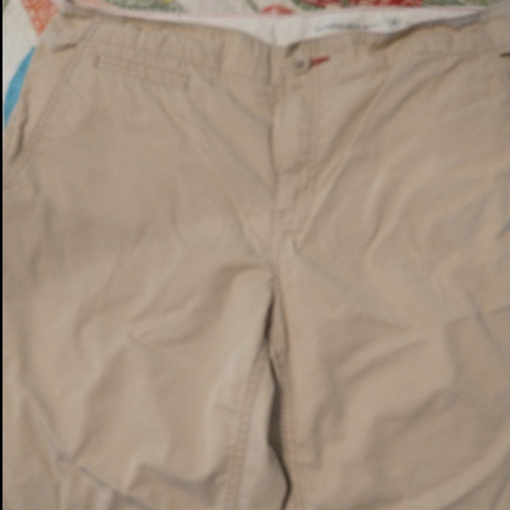 Banana Republic shorts size 14